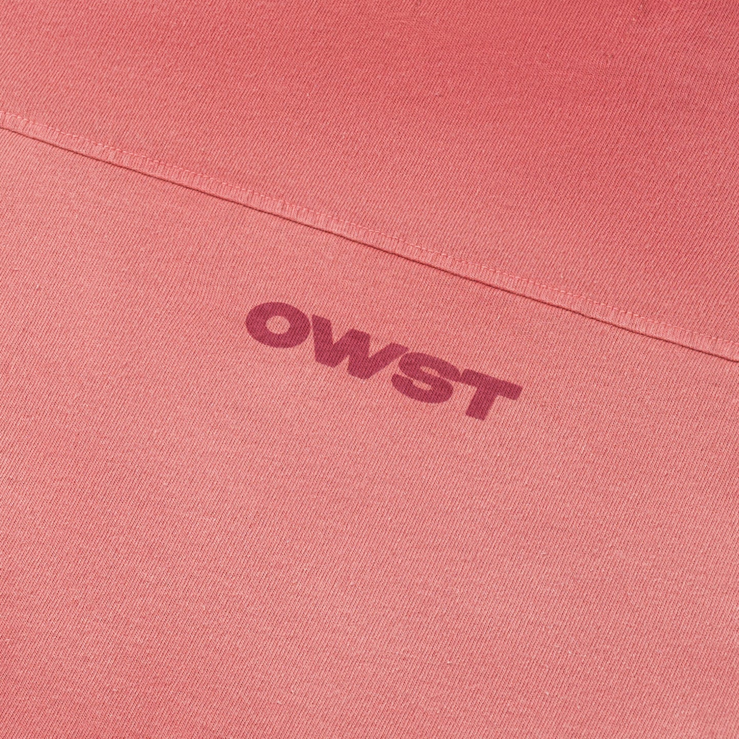 OWST Famous Washed Tee
